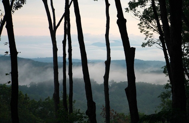 Entspannen Sie sich in den Blue Ridge TreeTops - Super Clean! Schlafmöglichkeiten für 4 - Gepflasterte Straße zu Hütte