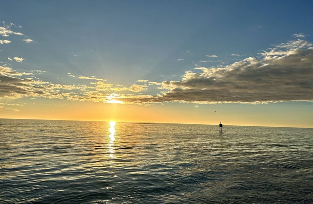 Relax in the Florida Sunshine!
