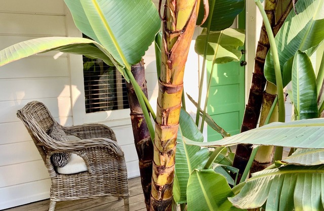 Relax in the heart of Montecito