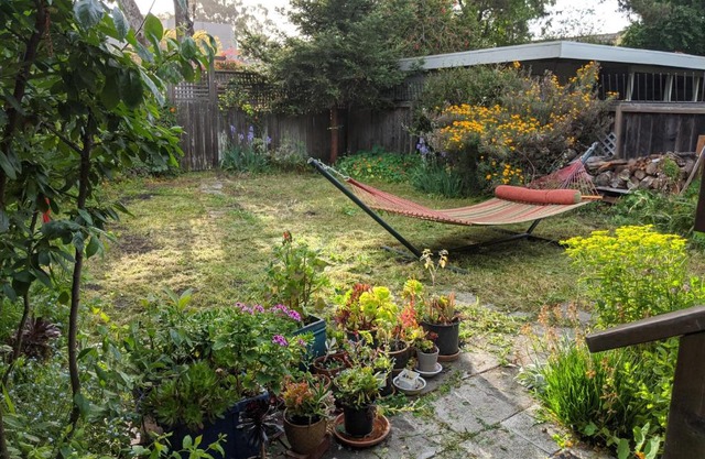 Relax in unpretentious peaceful and authentic house with public transportation cafes and U of Berkeley close by
