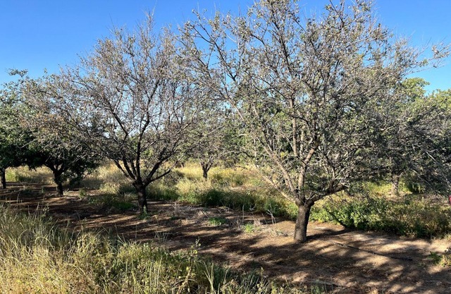 Relax on 475 acre scenic ranch, 4-Bed/BR, Surrounded by Nature, 1.5hr -Yosemite.