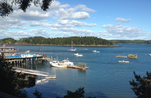 Oceanfront Panorama, Backyard Cove zu erkunden