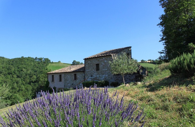 Entspannung, Natur genießen, in Le Marche Italien spazieren gehen im Cottage "Il Fuoco"