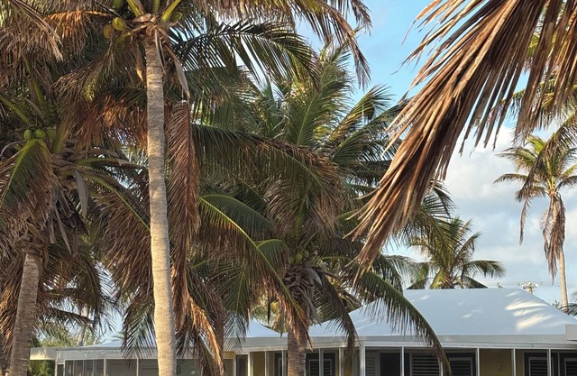 Sealodge 25. Cayman Kai, am Wasser, abgelegen, Privatstrand, super Schnorcheln