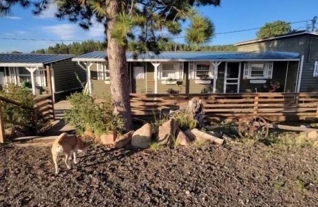 Relaxing Cabin in the heart of Red Feather Lakes!!