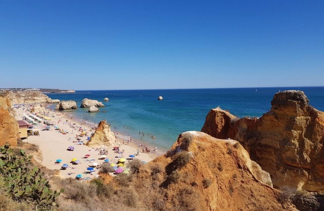 Relaxing Getaway Awaits! Three Large 2BR Apartment with Kitchen, 3 Onsite Pools!