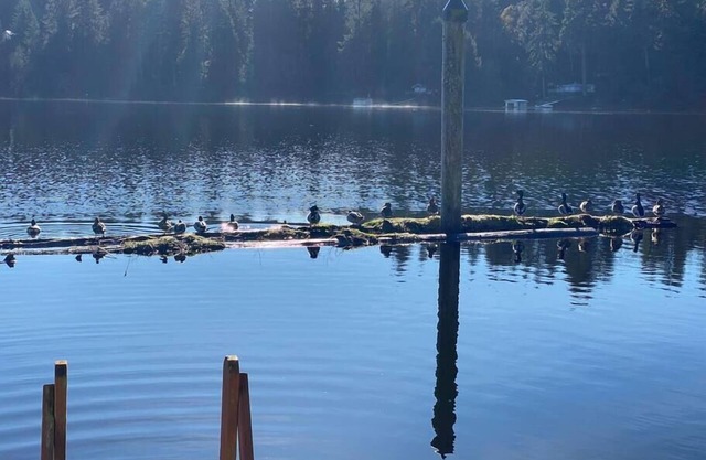 Relaxing Getaway Lake Cabin with Pristine Views