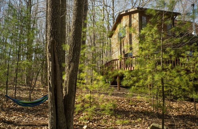 Entspannendes Haus in Catskills Forest nahe hübschem Teich - nahe Woodstock / Phoenicia