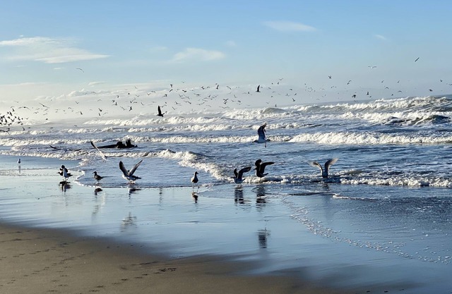 Remote- Ocean Front, steps to ocean, Pajaro Dunes Between Santa Cruz - Monterey