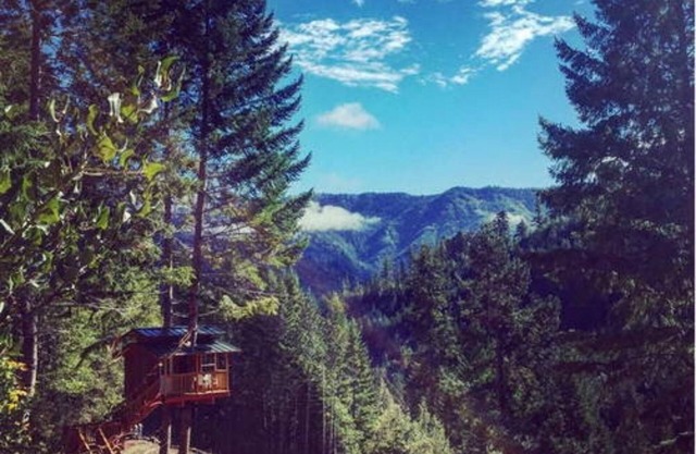 Remote Off-Grid-rustikales Baumhaus