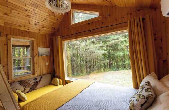 Remote Tiny Cabin/Mountain Hiking/National Forest!