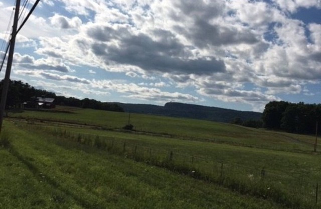 Renees Get-Away New Paltz