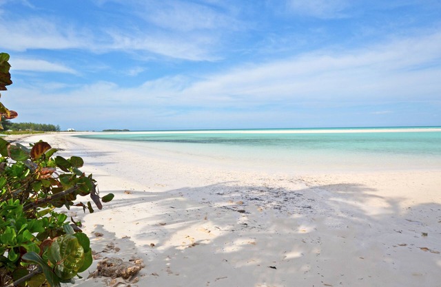 Renovated 3 bedrooms / 2 bath. 2-minute walk to the beach!
