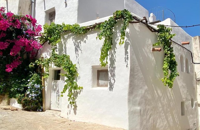 Renovated house in the historic center