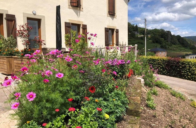 Renoviertes Haus nahe den Vogesen, ideal für Outdoor-Aktivitäten