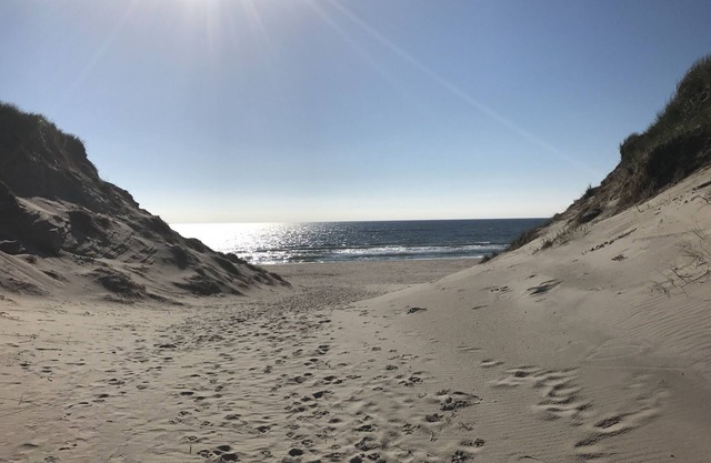 Renoviertes Sommerhaus dicht an der Nordsee hygge pur! Neu Anschluß E-Auto!