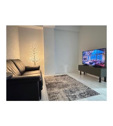 RentNow Ultracentral Modern Apartment