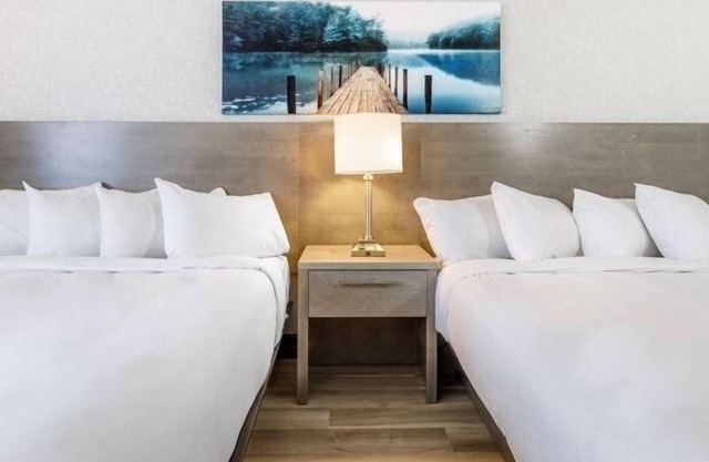 Repotel Levis