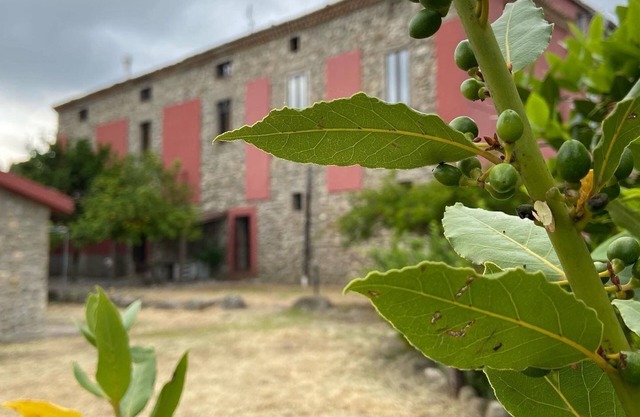 Residenza di Campagna B&B Tenuta Terrarossa