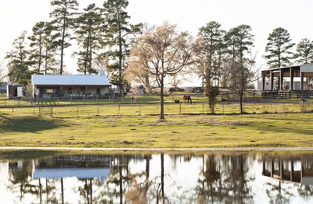 Rest + Restore. Family-friendly ranch getaway, including fur babies!