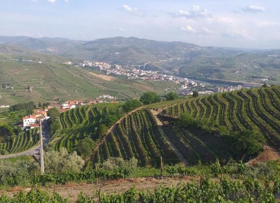 Retiro da Quinta do Souto