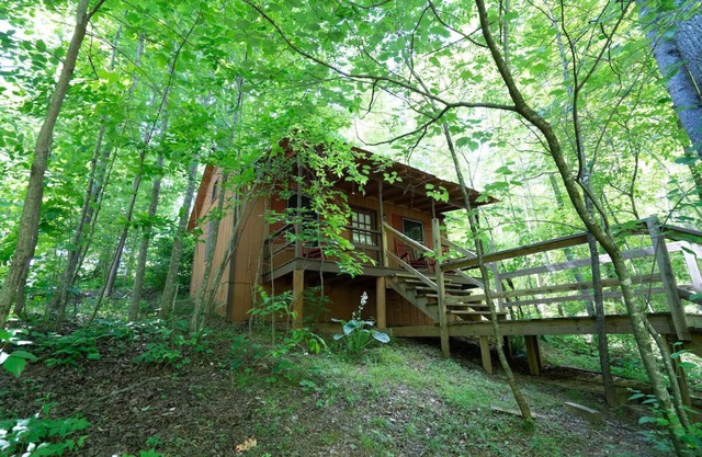 Retreat to Pet-Friendly Cabin near Helen, Blue Ridge & Appalachian Trail!