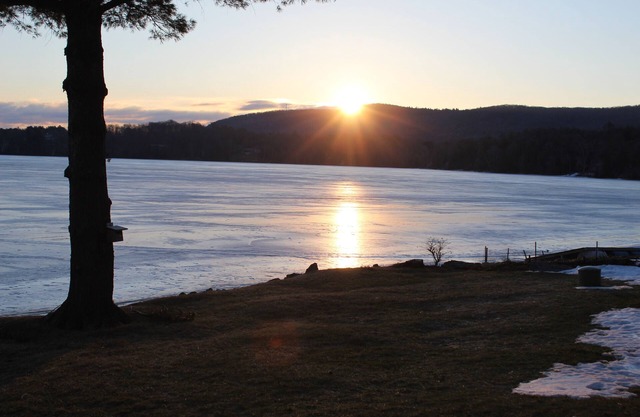 Richmond Pond Beauty