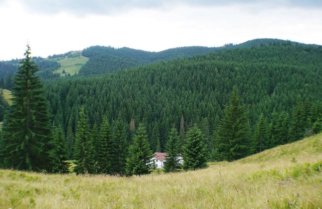 Rija Land, ein ländlicher Rückzugsort in den Bucovina Bergen