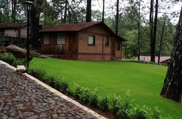 Rincón del Bosque