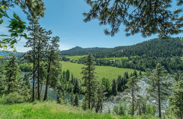 River Heights Home-View, WIFI, Hot Tub, Dogs, BBQ