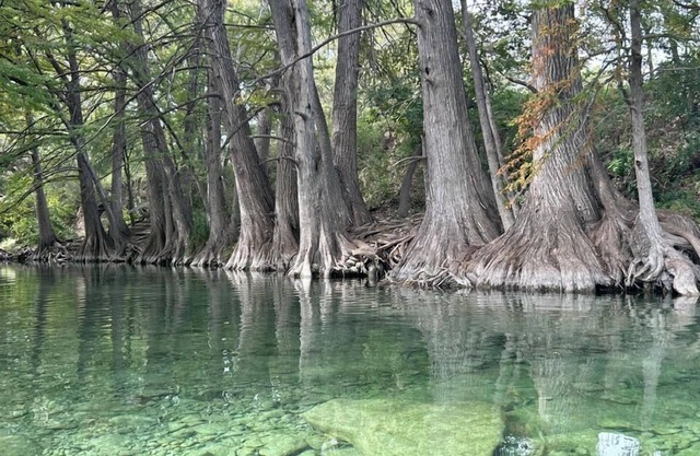 Riverbend on the Frio Cabin 2