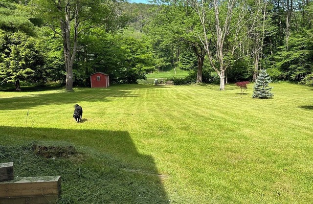 Riverfront Cabin Retreat on the Delaware, 5 mins from Narrowsburg, 2hrs from NYC