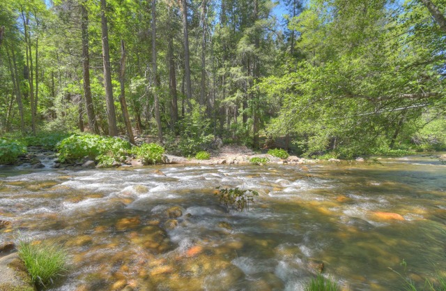 Riverfront Home 5 miles to Yosemite! Private riverbank. THE closest to Yos. gate