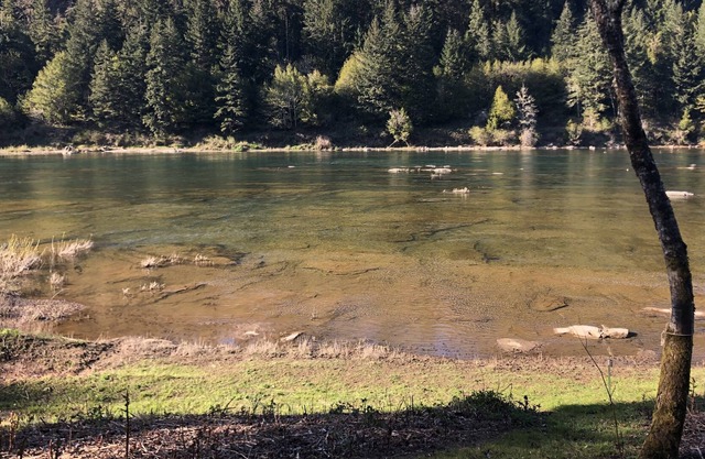 RiverFront Property in the Heart of Umpqua Wine Tour Country