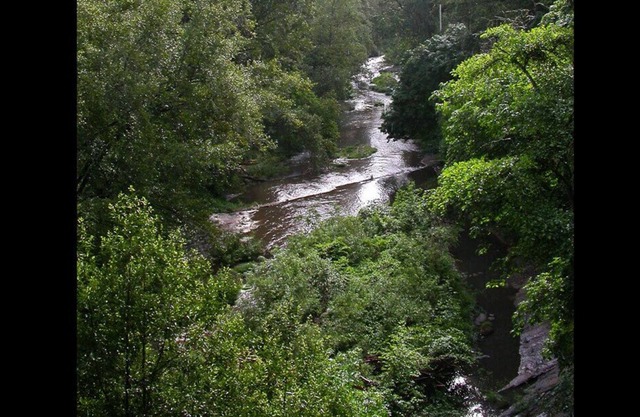 RiverFront TREEHOUSE Inspiring Rental Ancient REDWOODS AMAZING VIEWS!!
