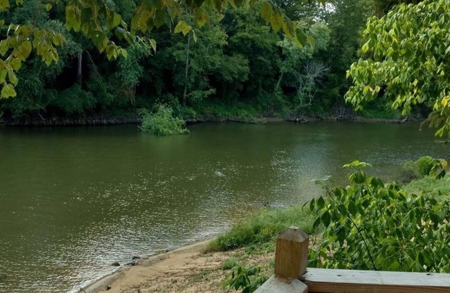 Riverside Retreat Cabin on the banks of Little River.