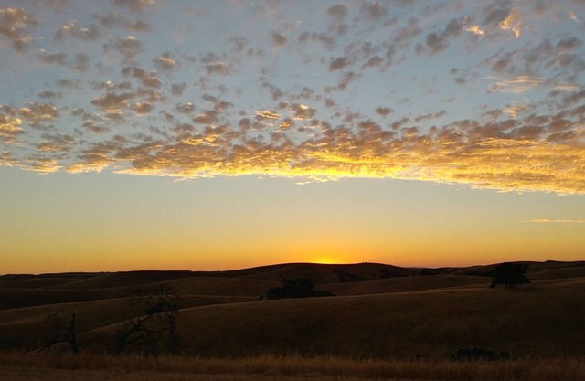Roadrunner Ridge