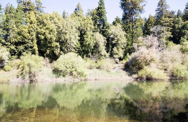 Robins Hood am Fluss mit spektakulärer Aussicht, in der Nähe von Weinbergen und Küstenstränden