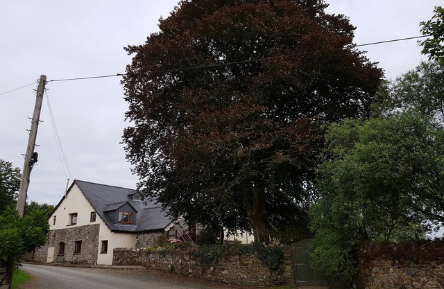 Robins Nest - Am Fuße des Bodmin Moor