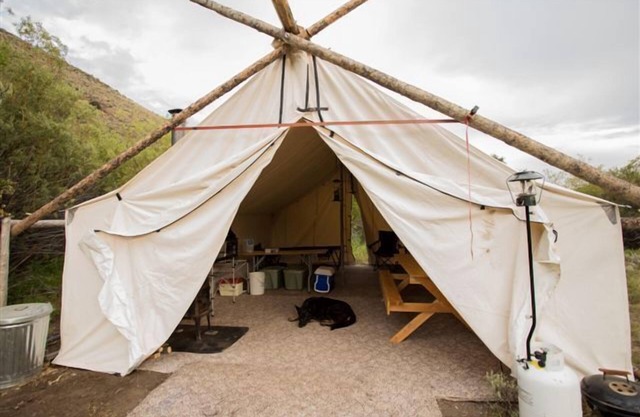 Rocky Mountain Elk Camp