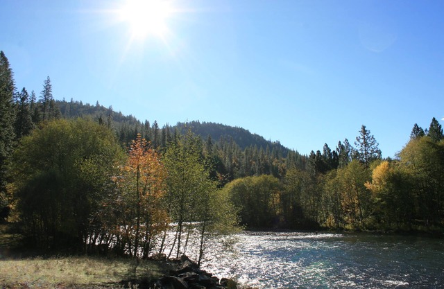Rogue River Escape - 19 Morgen auf dem Rogue River