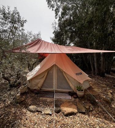 Romance Tent In The Eucaliptus