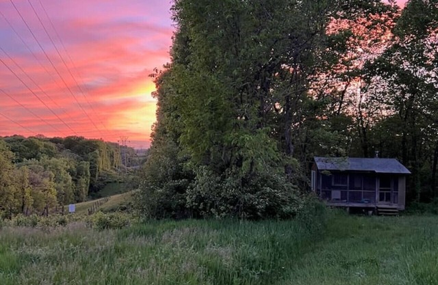 Romantic - Cabin & Camping - on 175 Acre Farm
