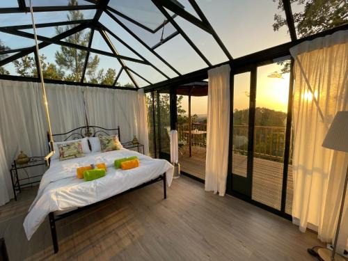 Romantic Skyview Glasshouses