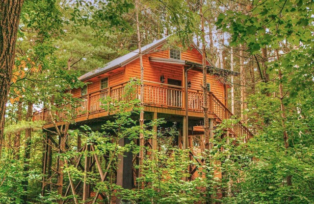 Romantic Treehouse Getaway with Treetop Views
