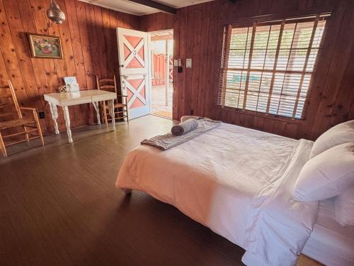 Room 3 - Downtown Joshua Tree Motel - Pet Friendly - Walk to Shops & Visitor Center, Minutes to Park Entrance