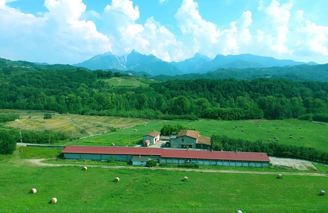 Zimmer fünf im Agriturismo La Praduscella