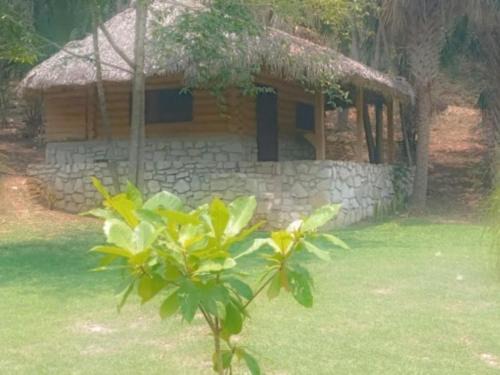 Room in Cabin - Cabins Sierraverde Huasteca Potosina sierra cabin