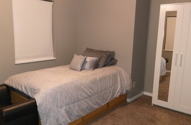 Room near to Bush Gardens Tampa 22 minutes