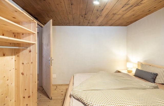 ZIMMER USTAREA SPLUGA 2